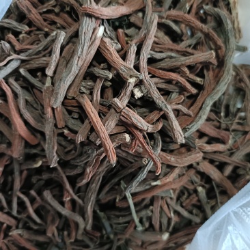 丹参云南紫丹参滇丹参云南产地