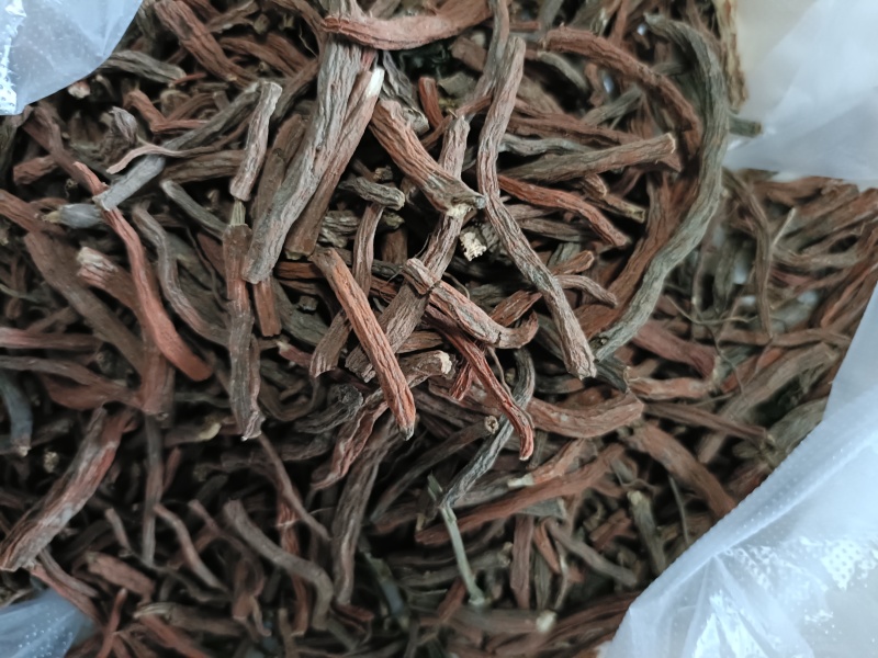 丹参云南紫丹参滇丹参云南产地
