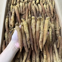 红参批发30条红参条有量有价可代切片