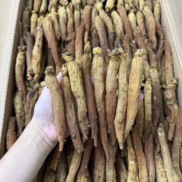 红参批发30条红参条有量有价可代切片