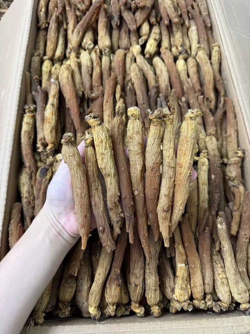 红参批发30条红参条有量有价可代切片