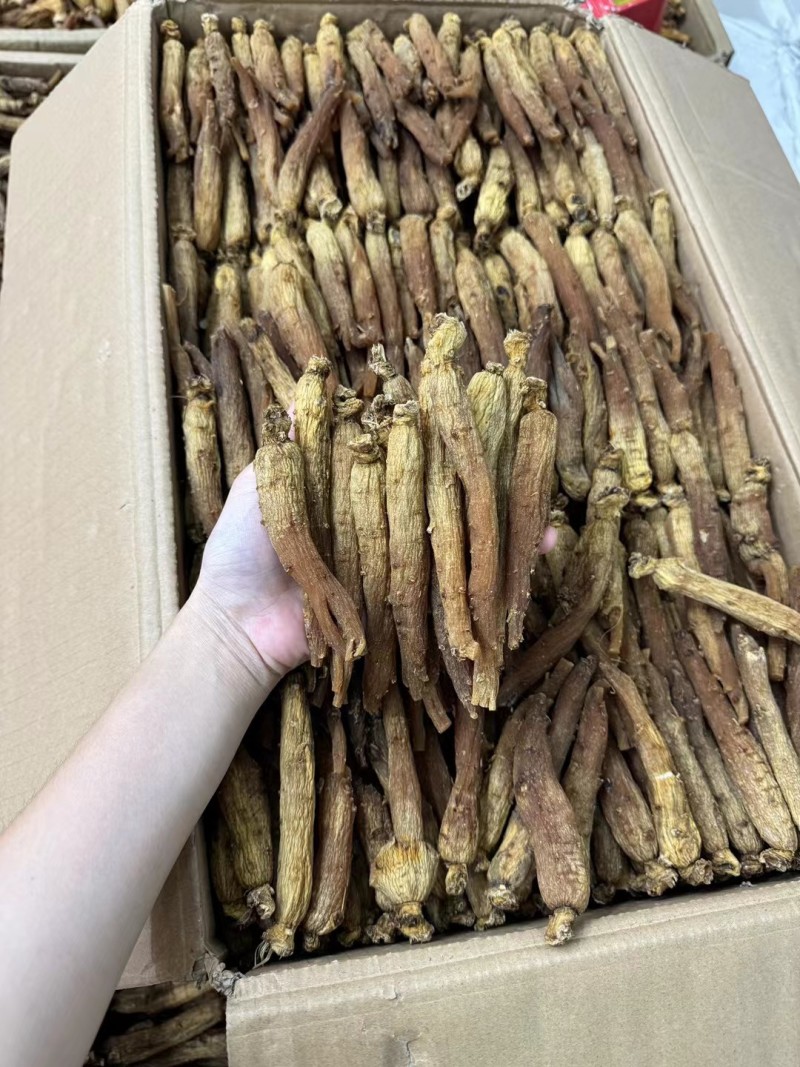 红参批发30条红参条有量有价可代切片