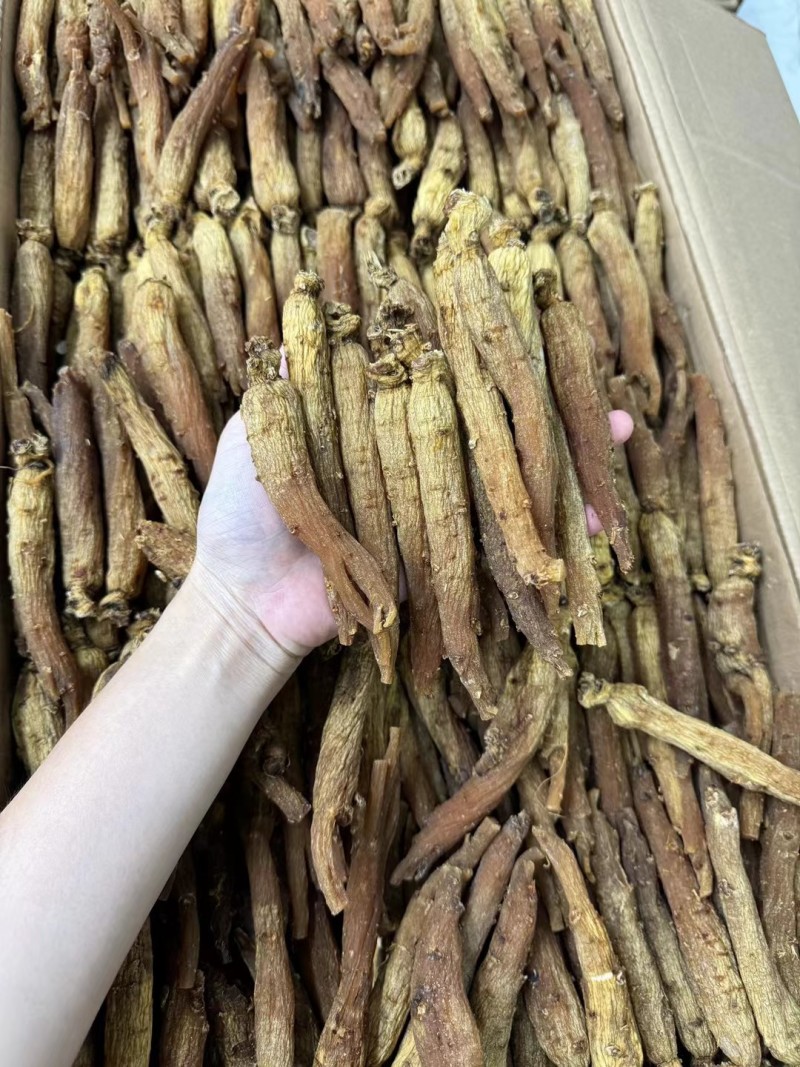 红参批发30条红参条有量有价可代切片