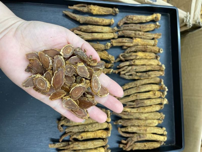 红参批发30条红参条有量有价可代切片