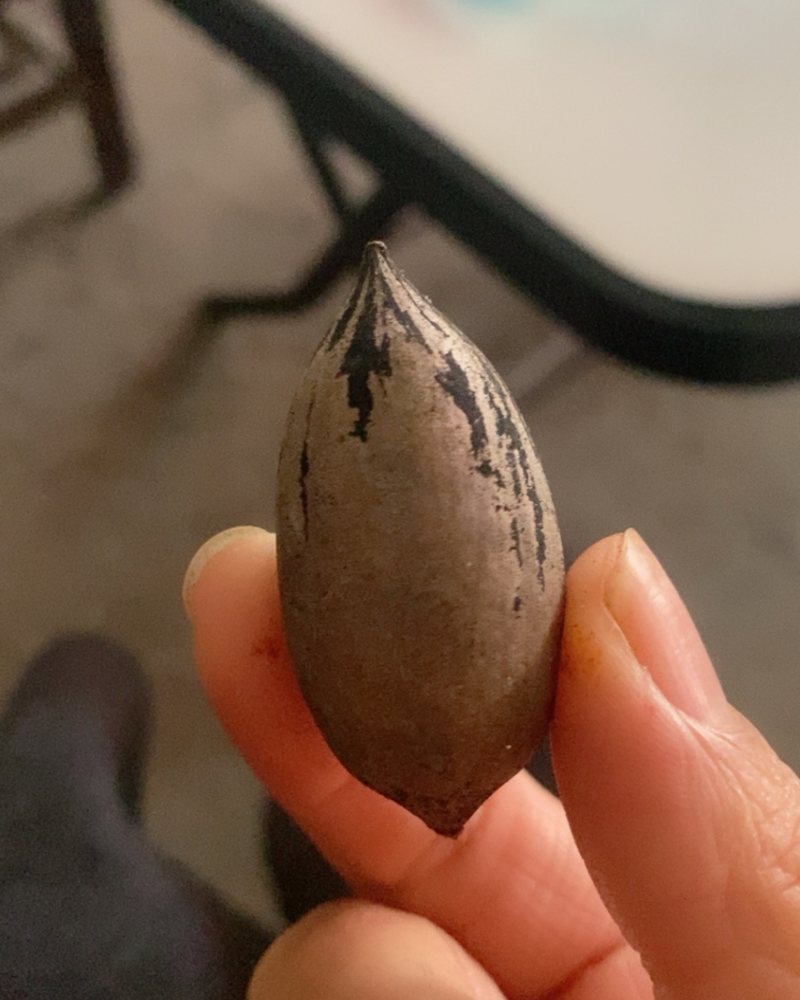 碧根果