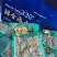 威海本地有点难看小海参，*后30包，只要48.8