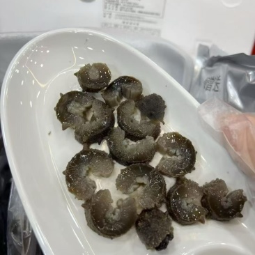 威海本地有点难看小海参，*后30包，只要48.8