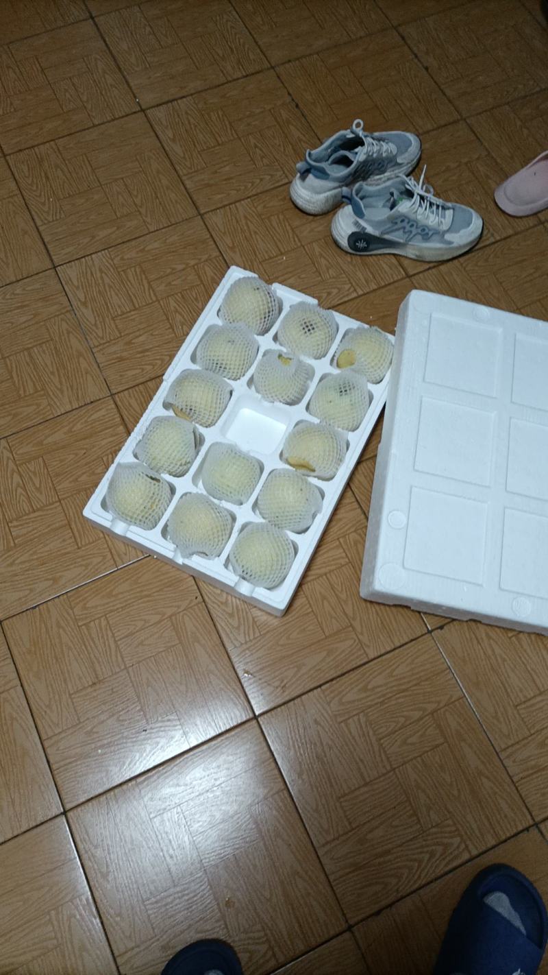 砀山精品酥梨
