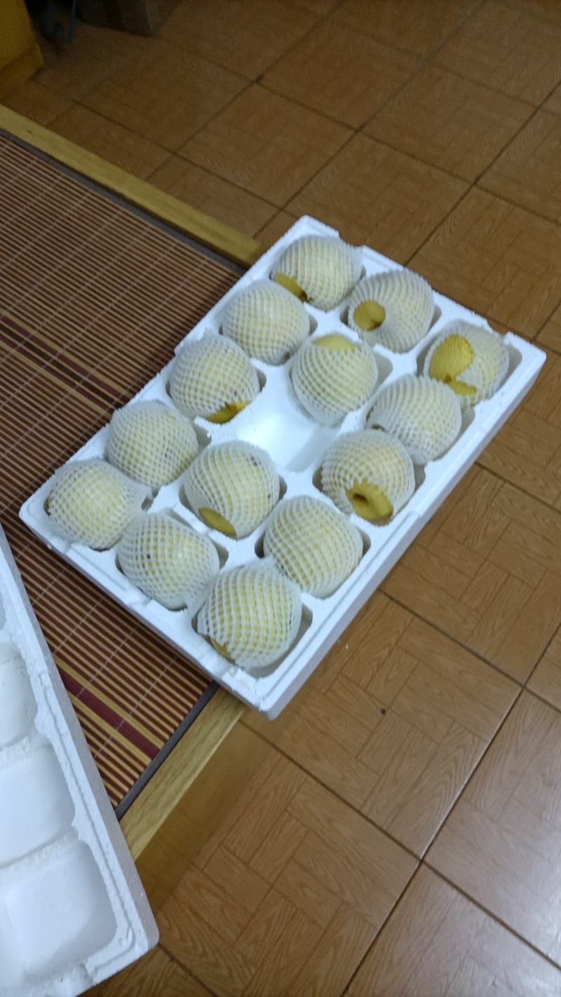 砀山精品酥梨
