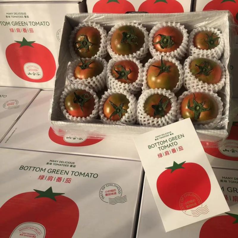山合谷绿肩高糖番茄，草莓柿子碱地柿子铁皮柿子