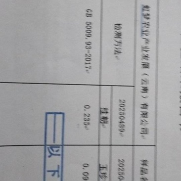 富晒大米