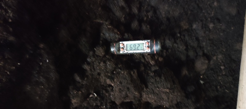 纯鸡粪发酵有机肥料，配料磨菇渣糖渣草木灰发酵70度90天