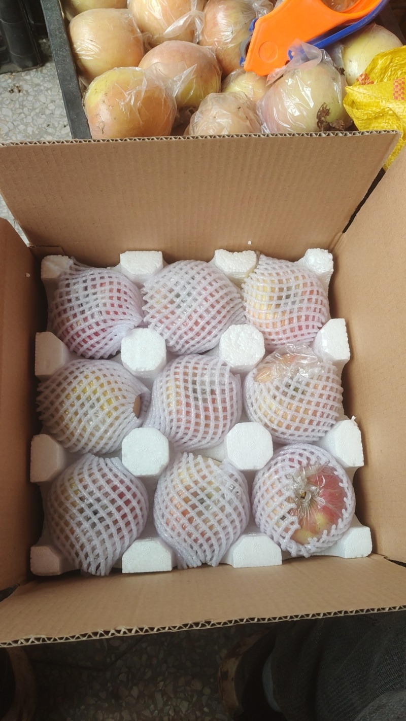 山西省运城市临猗县冰糖心红富士