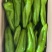 大棚牛角