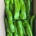 大棚牛角