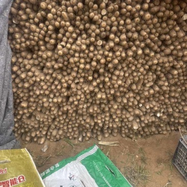 白玉山药网袋