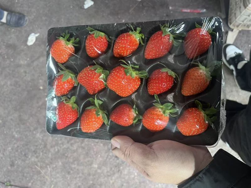 徐州草莓下量欢迎前来选购