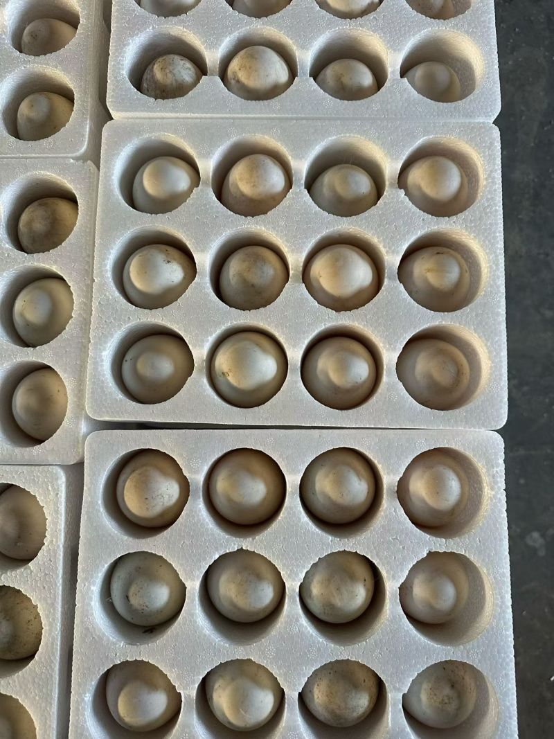 雁鹅蛋，大鹅蛋，电商社区团购一件代发