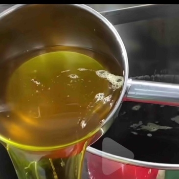 出售野生茶籽油，一次性7百至1千斤，保证野果压榨0勾调和添加
