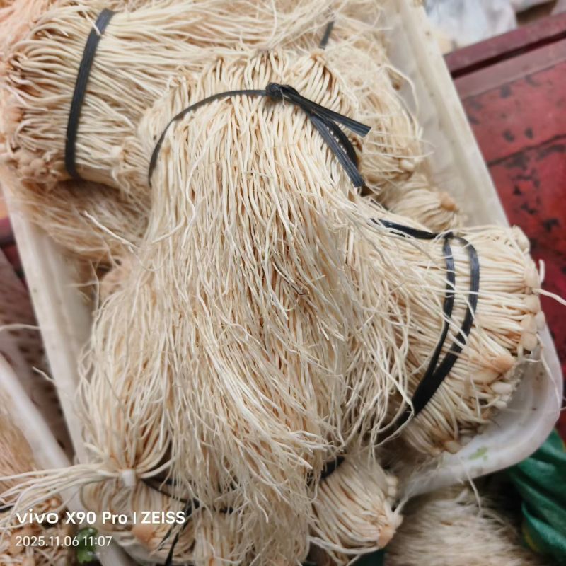 精品云南撇菜根价格实惠