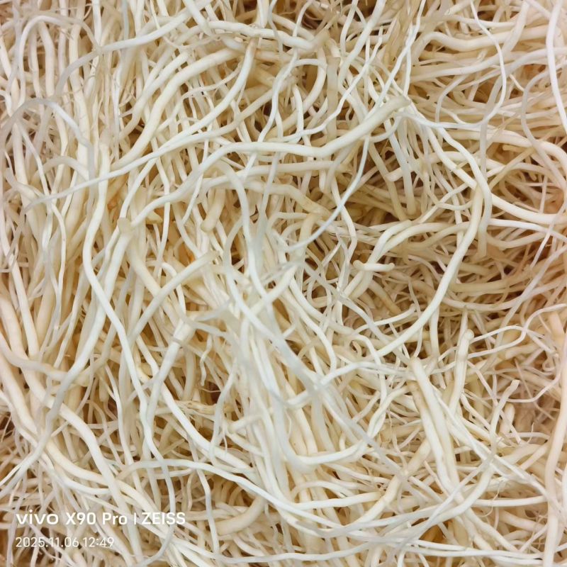 精品云南撇菜根价格实惠
