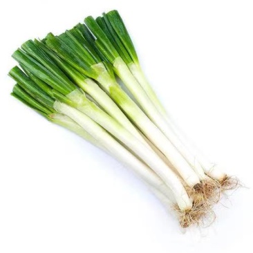 大葱