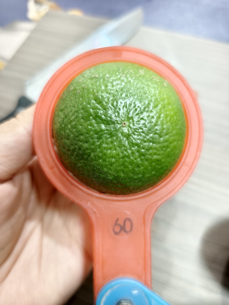 广西皇帝柑