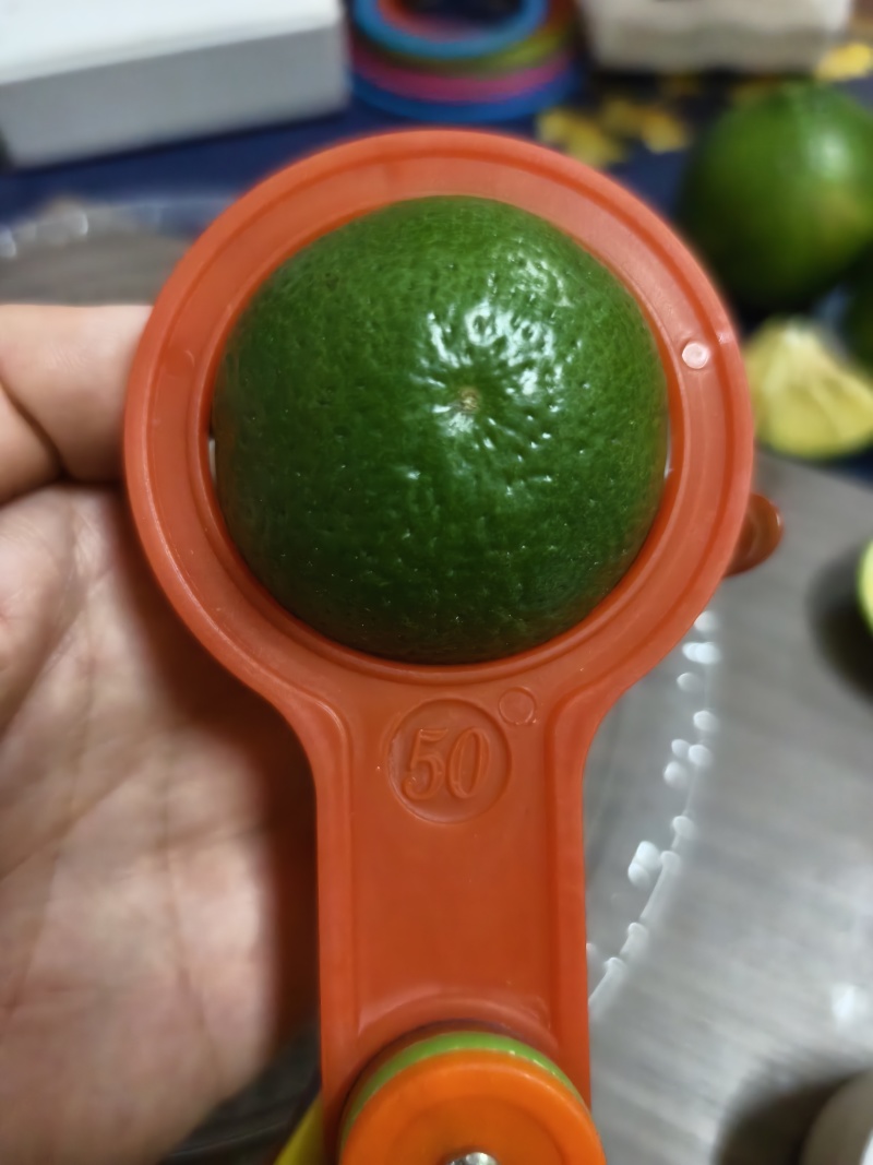广西皇帝柑