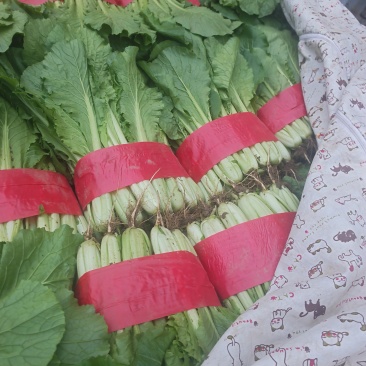 菠菜，产地直发