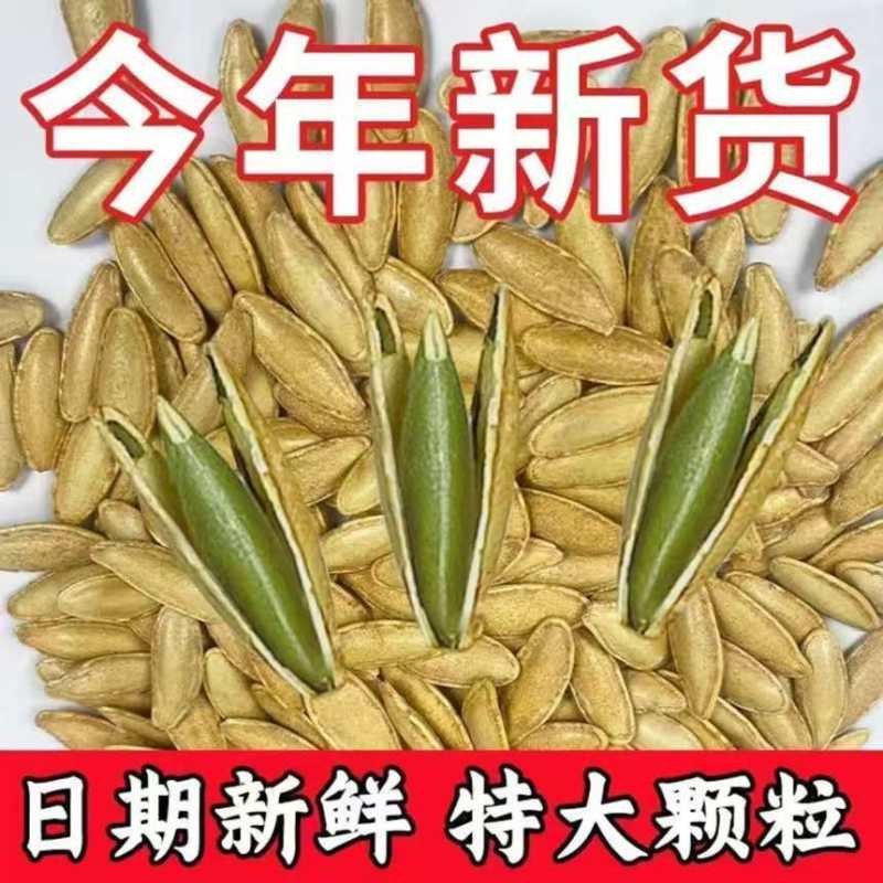 正宗美人甲南瓜子新疆特产批发零售电商专用一件玳发