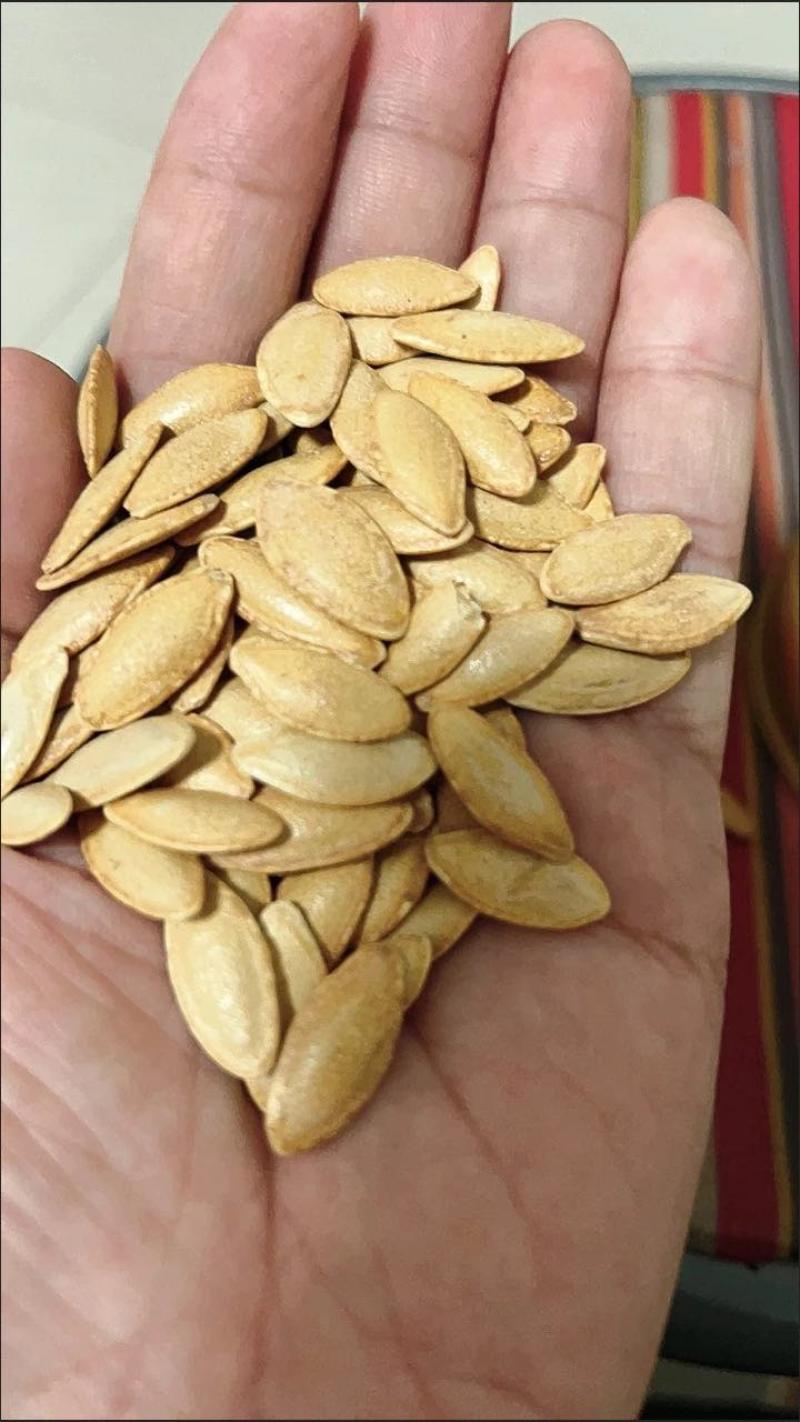 正宗美人甲南瓜子新疆特产批发零售电商专用一件玳发