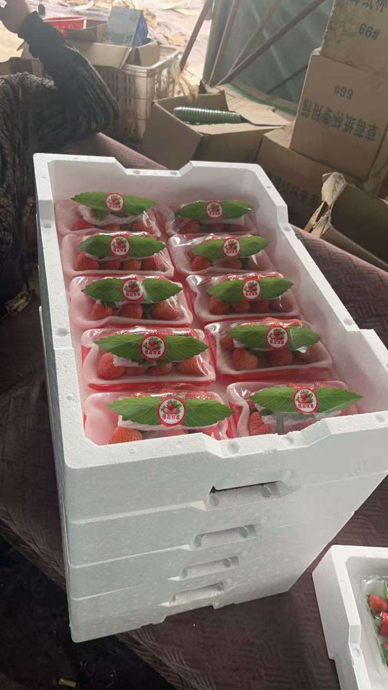 草莓掉钱啦