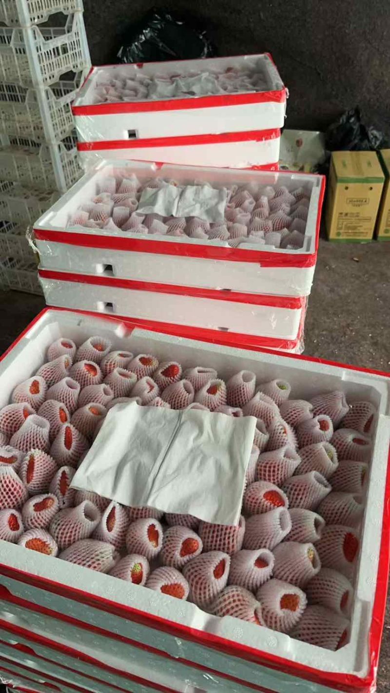 草莓掉钱啦