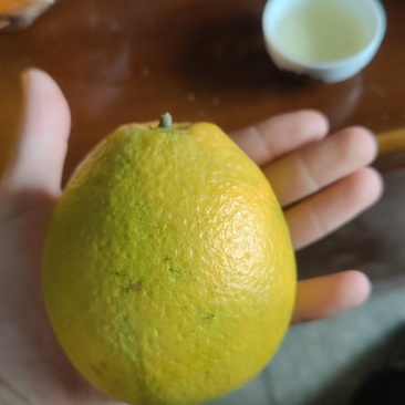 赣南脐橙代发。带箱5斤
