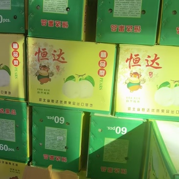 河北皇冠梨不抹药。60的