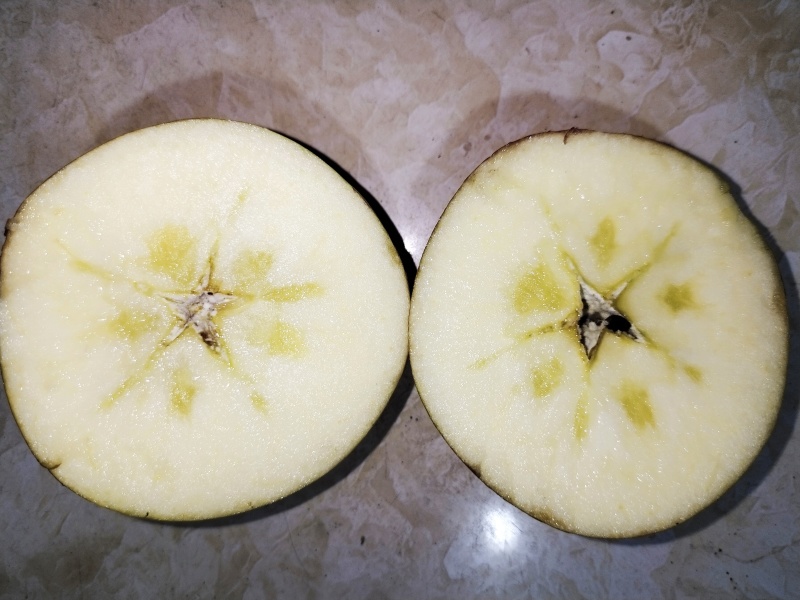 云南昭通糖心丑苹果，中大件可供选择