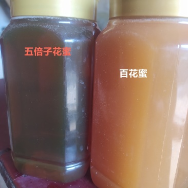土蜂蜜