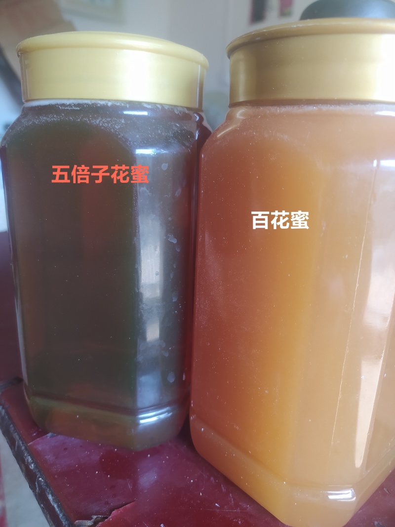 土蜂蜜