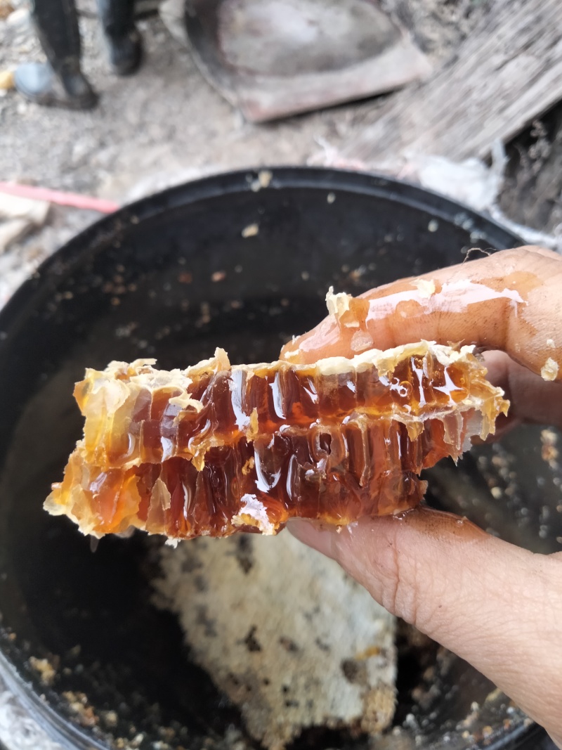 大山里正宗土蜂蜜，***无任何添加，一年只取一次