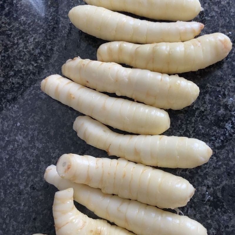 新鲜竹薯现挖冬粉薯农家自种现发竹芋当季煲汤食材竹根凉粉批发