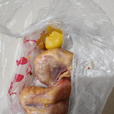 鸡宝，刚杀出来的