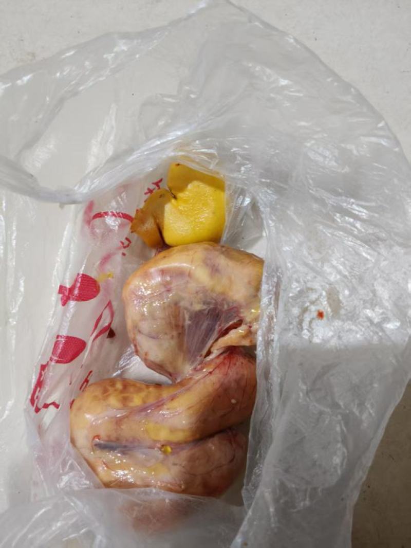 鸡宝，刚杀出来的
