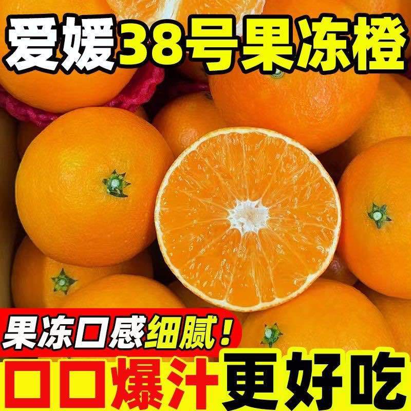 爱媛38号果冻橙产地一件代发各电商平台