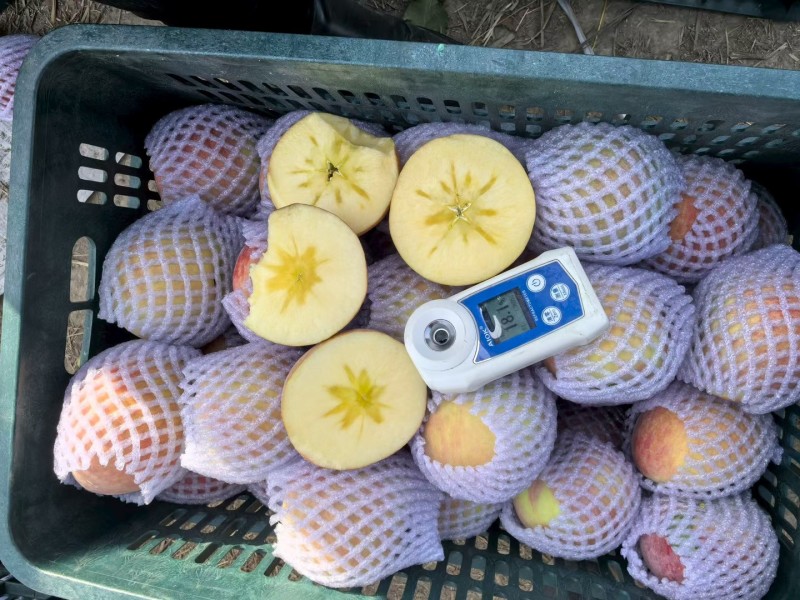 阿克苏冰糖心苹果一件代发10斤起发