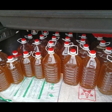 巴马茶油
