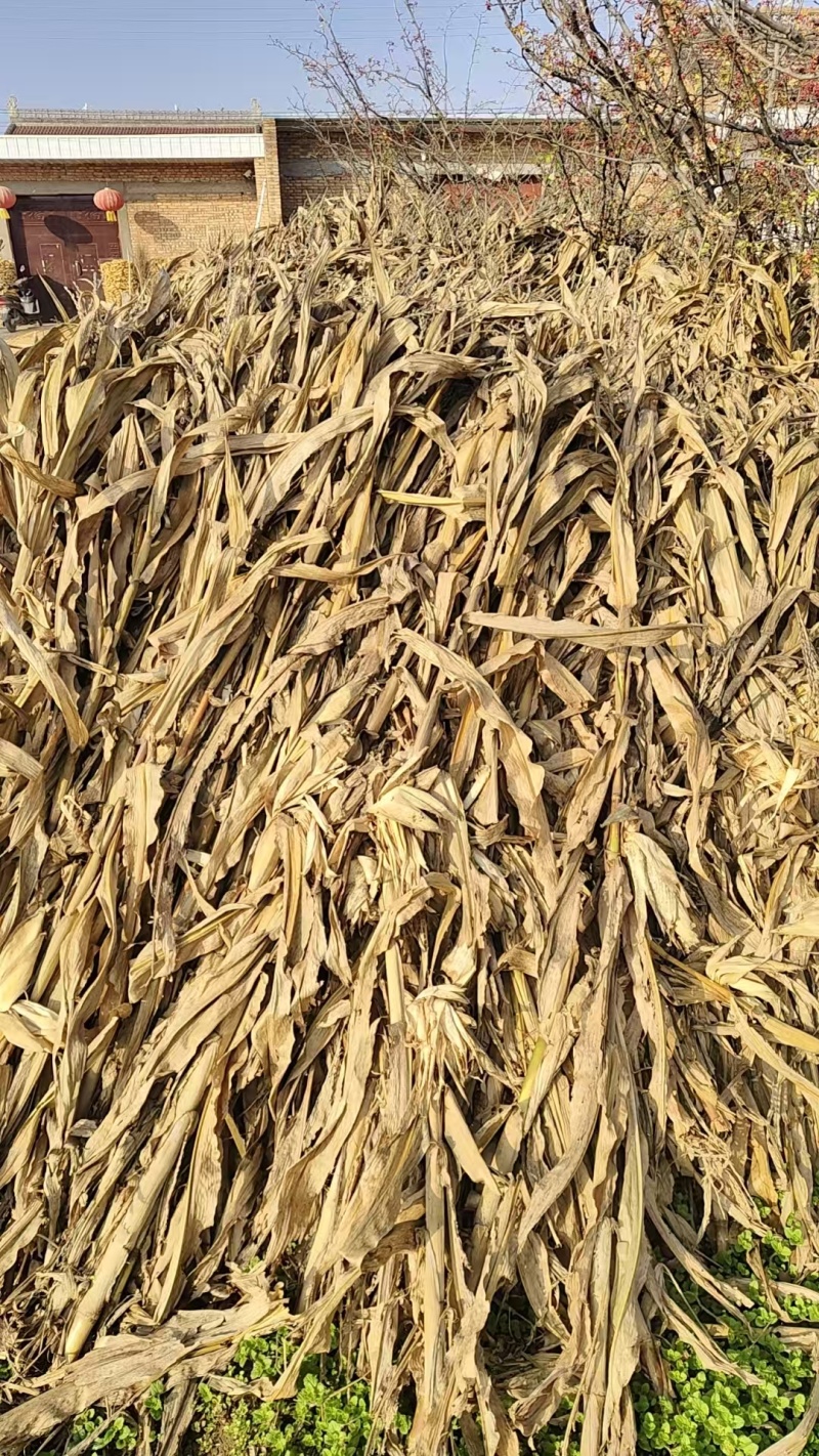 自然晾干品相优质量大更优惠