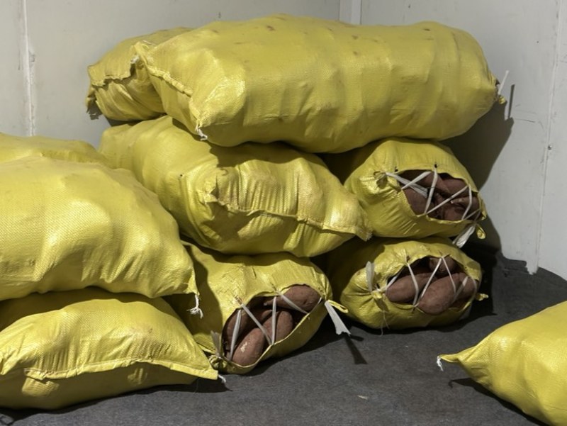 金堂西瓜红心六熬蜜薯烤红薯蜜薯地瓜流油红薯大小车通接可开税票