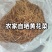 黄花菜