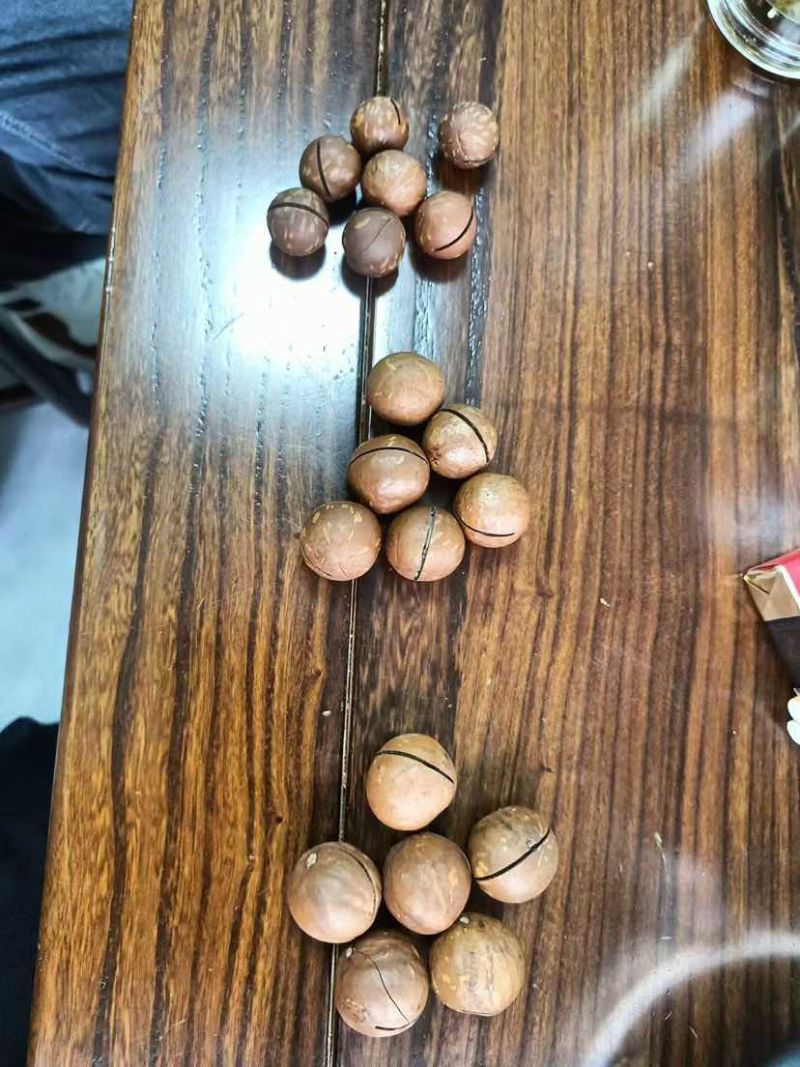 夏威夷新果，颗颗饱满，规格齐全，年底前现货充足