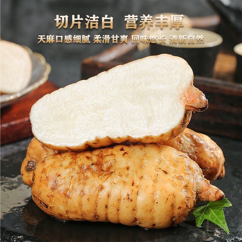 云南昭通市小草坝天麻